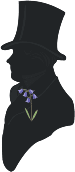 Bluebells Clipart (800x800), Png Download