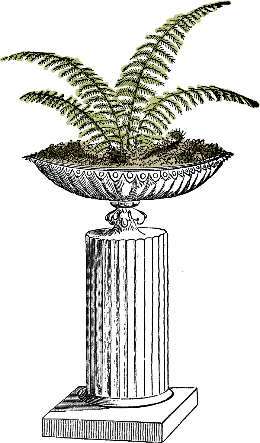 I Created This Digital Fern Download From A Vintage - Fern Potted Plant Clip Art - Png Download (1006x1600), Png Download
