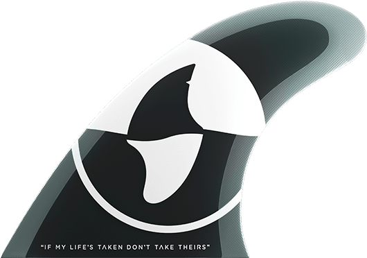 Back Fin Front Fin - Killer Whale Clipart (1600x489), Png Download