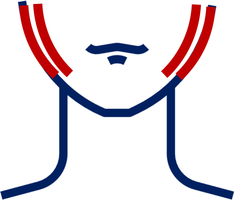 Dolore Y Infecciones De Dientes - Thyroid Clipart (800x800), Png Download