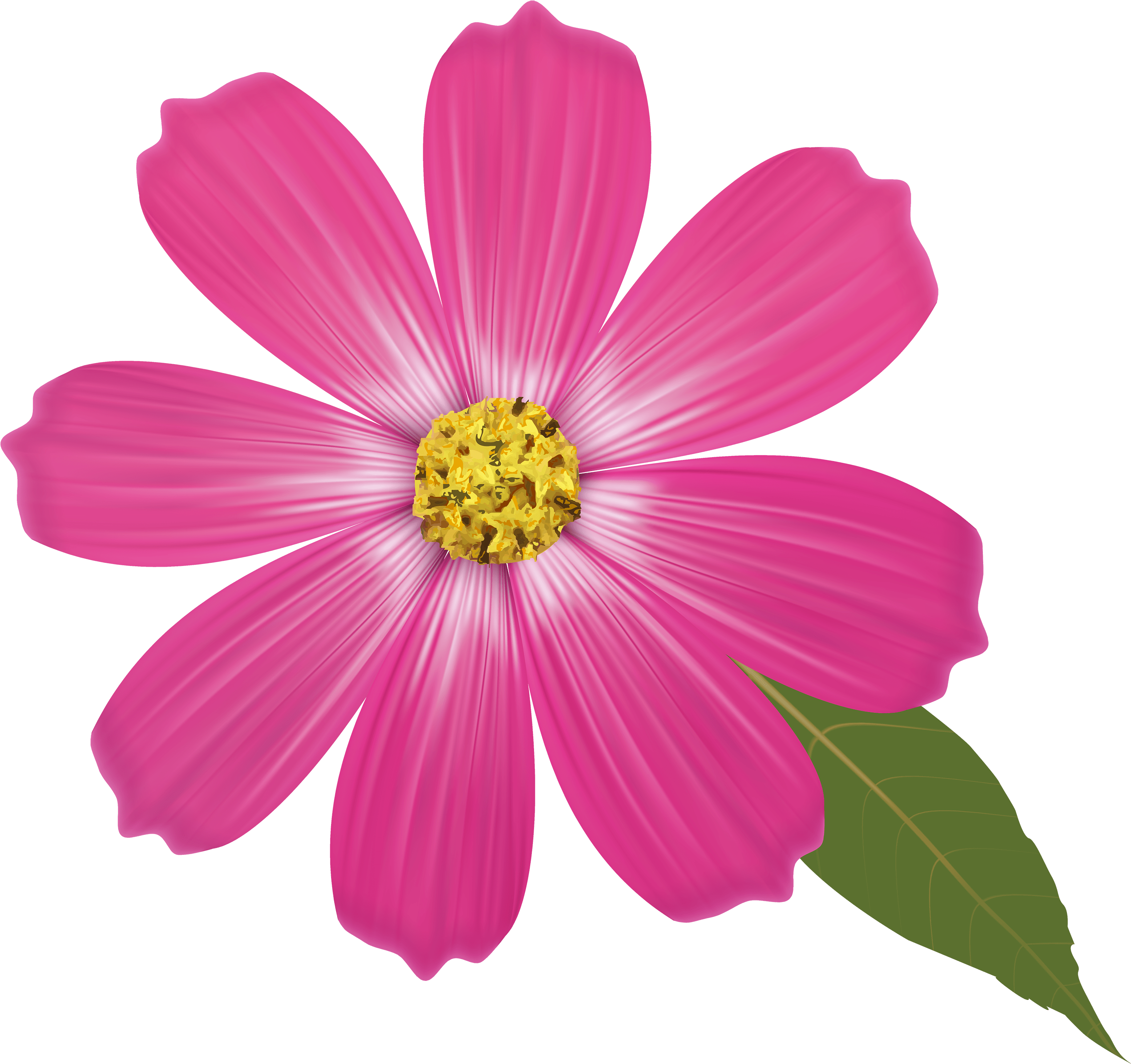 Pink Flower Clipart Pink Flower Clipart