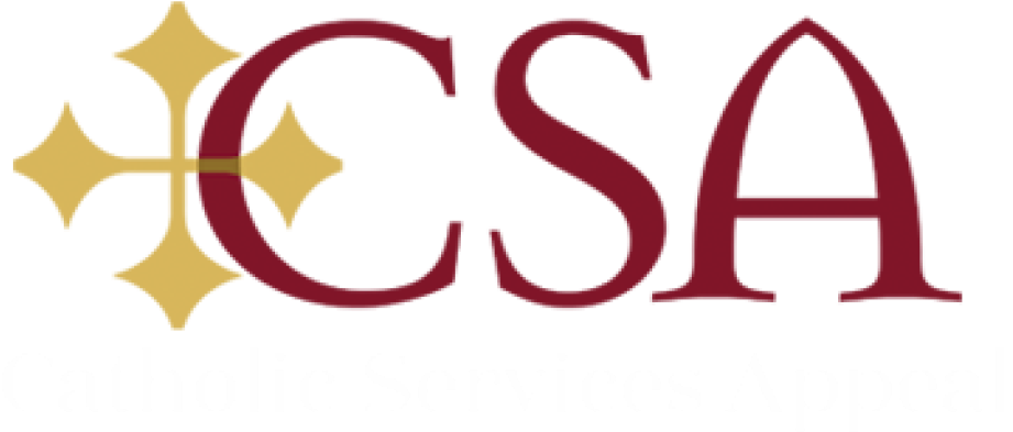 Do You Know You Can Go Online And Donate Fast, Easy - Catholic Services Appeal Detroit Clipart (1024x509), Png Download