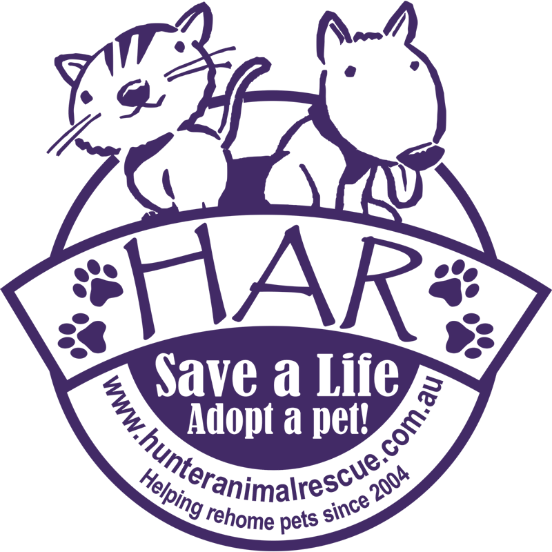 Animal Rescue Group Clipart (800x800), Png Download