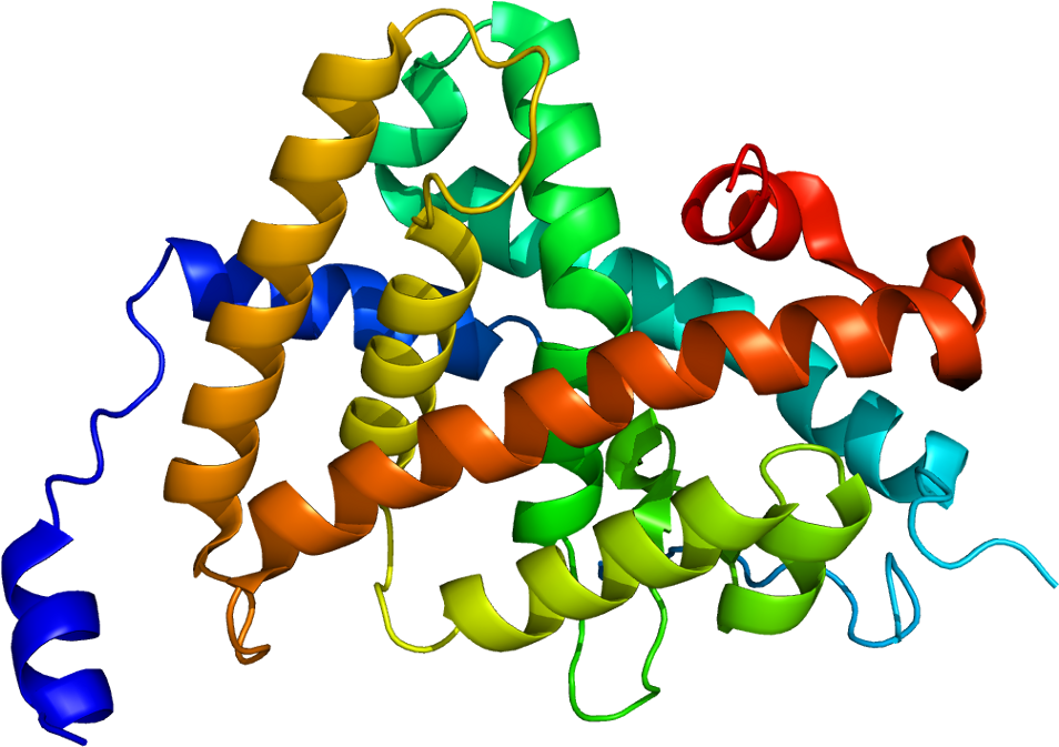 Thyroid Hormone Receptor Structure Clipart (1003x722), Png Download