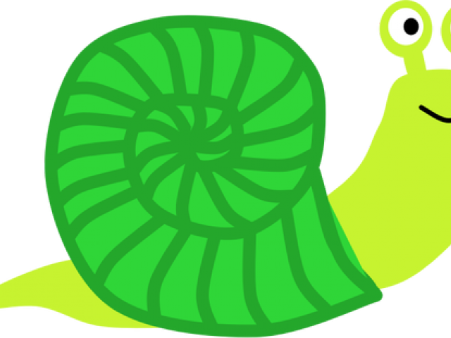 Snail Clipart Green Snail - Clip Art - Png Download (640x480), Png Download