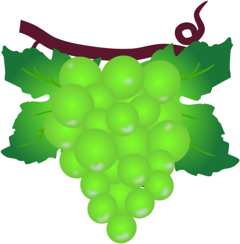 Grape Berry Poland Muscat Raceme - Grape Clipart (977x750), Png Download