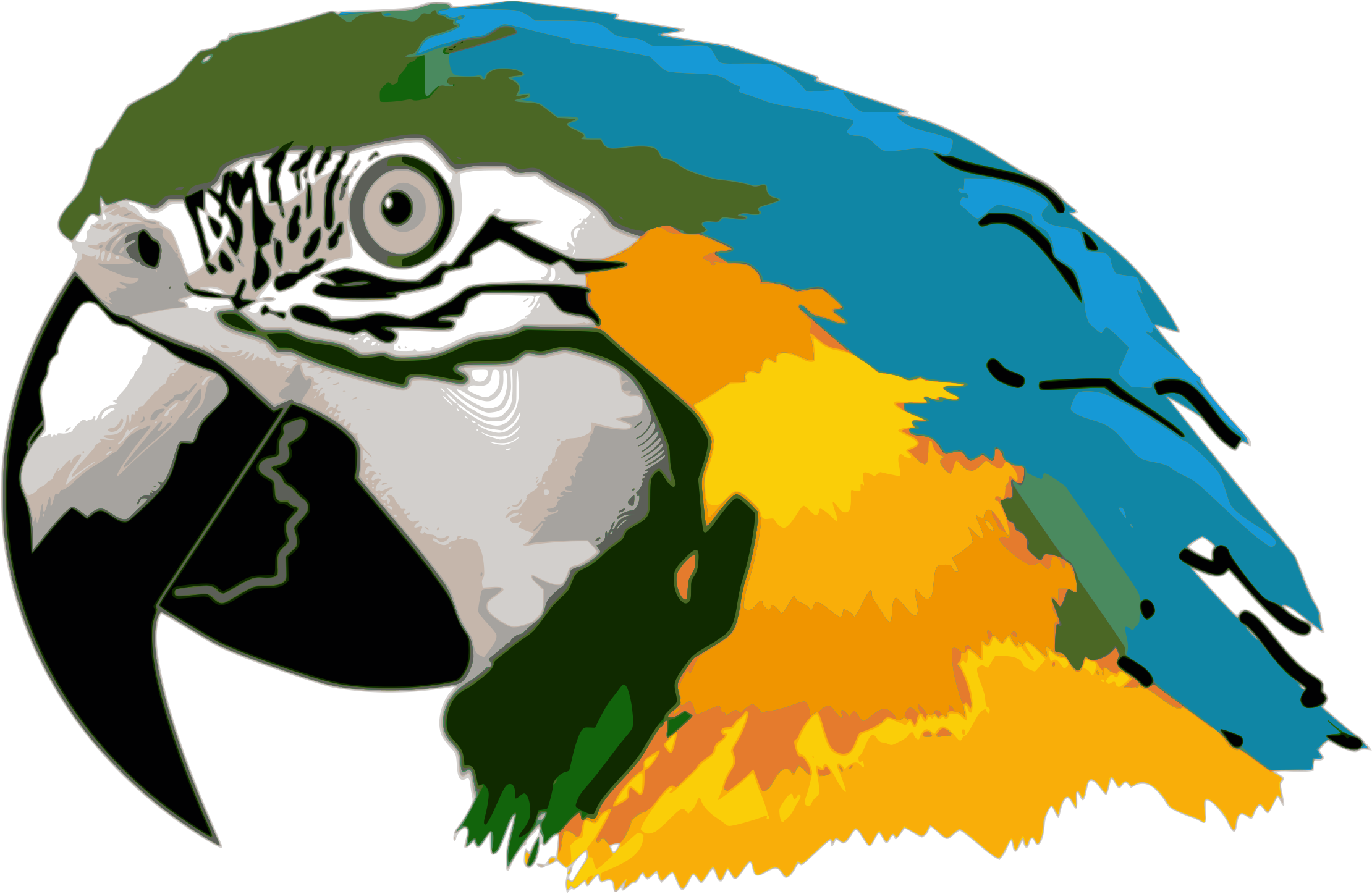 Arara Azul Desenho - Parrot Head Clip Art - Png Download (960x625), Png Download