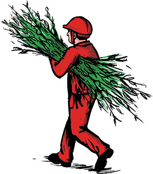 Illustrations Are A Trademark Of John Barber Pruning - Illustration Clipart (521x600), Png Download