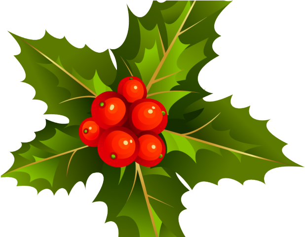 Christmas Clipart - Mistletoe Png Transparent Png (640x480), Png Download
