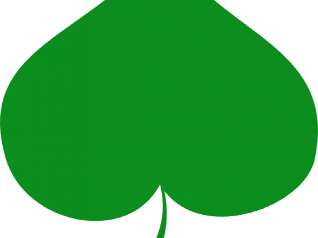 Original - .net Clipart (640x480), Png Download