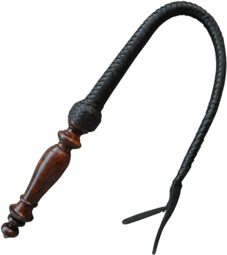 Whip Png - Png Whip Clipart (546x609), Png Download