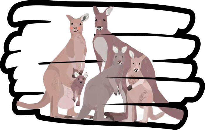 Kangaroo Clipart (700x445), Png Download
