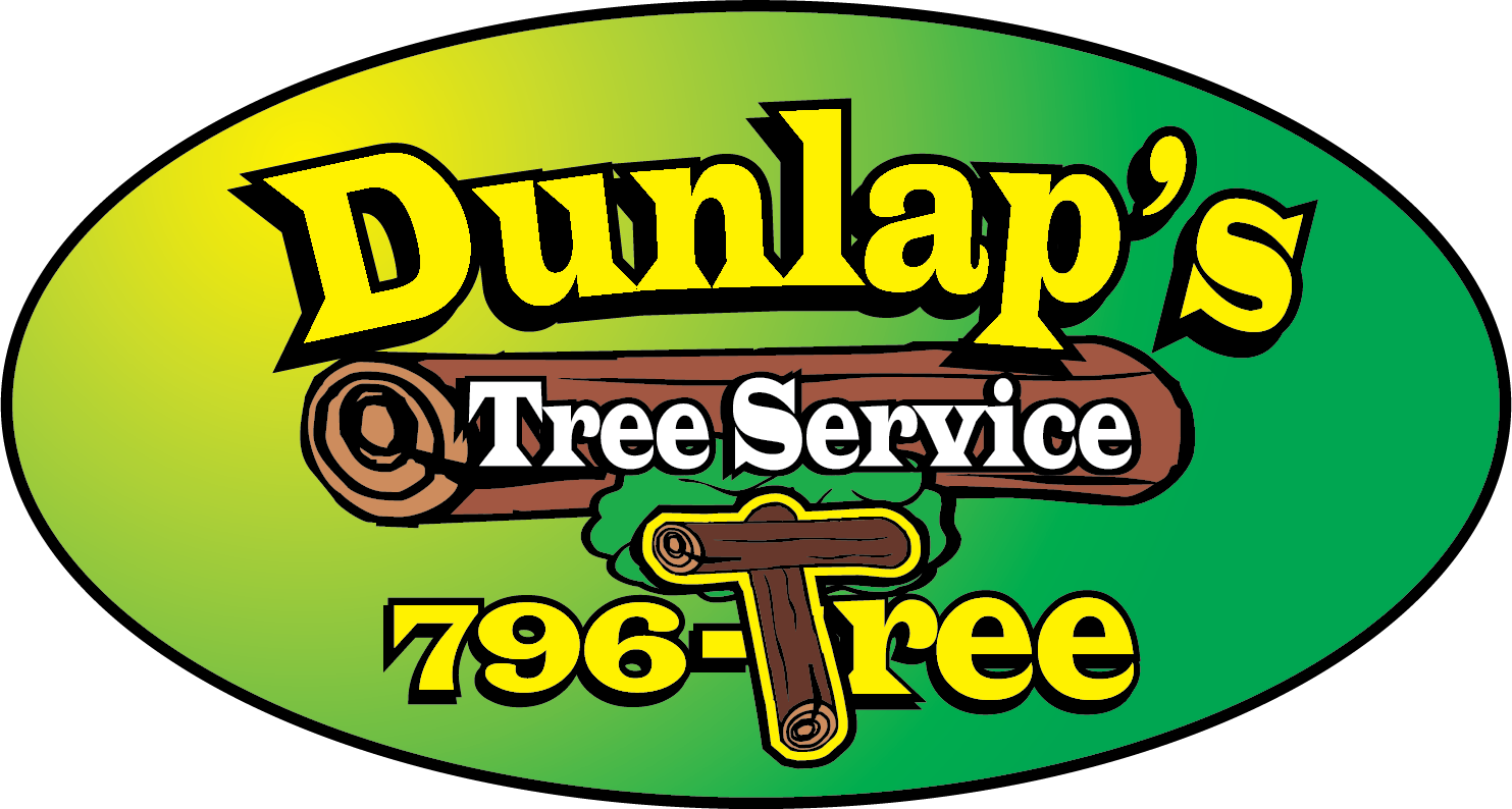 Dunlap's Tree Service - Stump Grinder Clipart (1483x794), Png Download