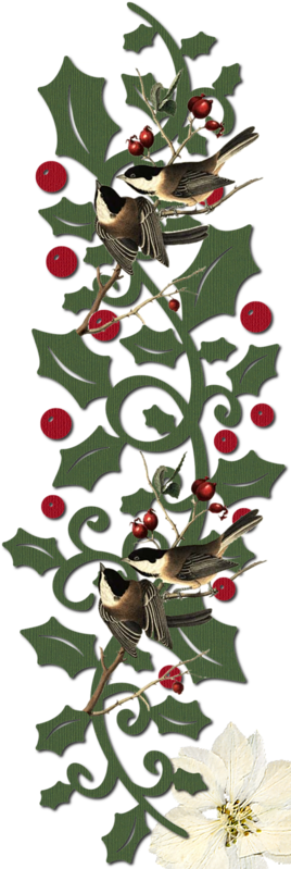 Flower Clipschristmas Borderchristmas Timeclip Art - Clip Art - Png Download (800x800), Png Download