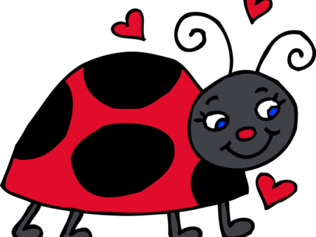 Pretty Clipart Ladybug - Cute Lady Bug Clipart - Png Download (640x480), Png Download