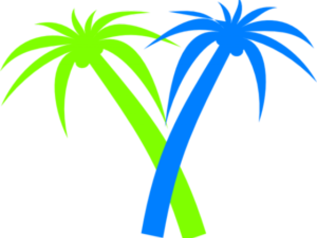 Palm Tree Clip Art - Png Download (640x480), Png Download