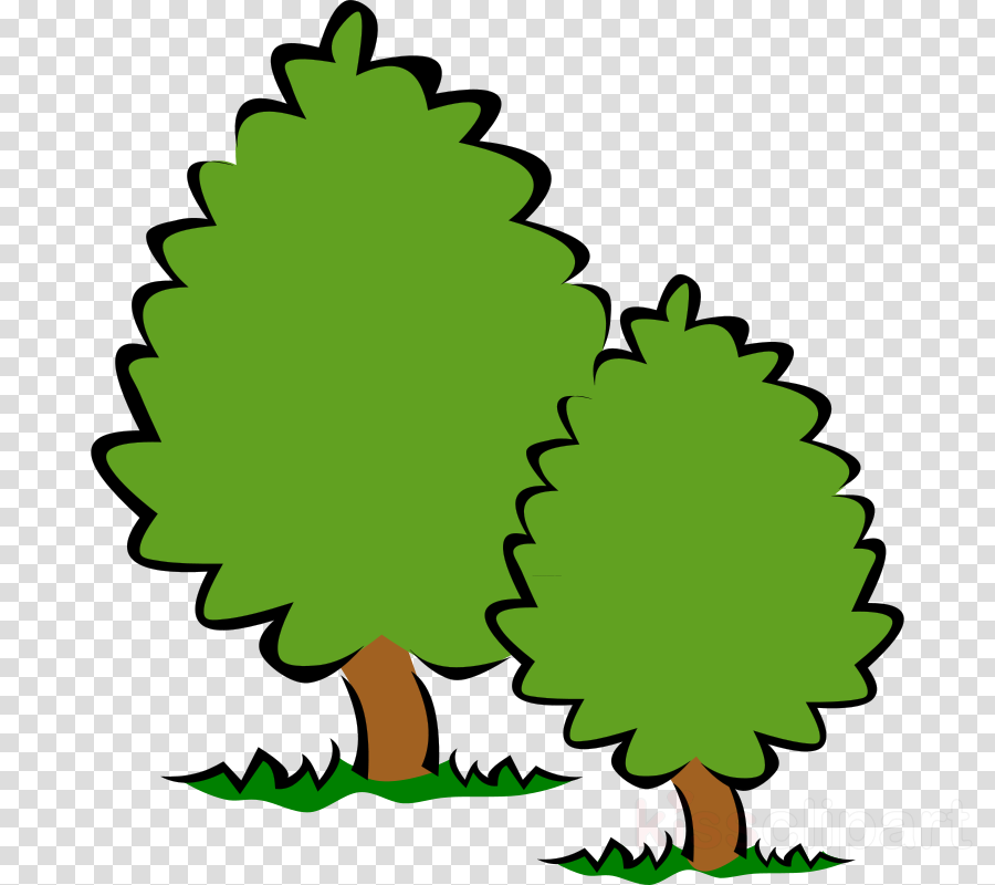 Trees No Background Clipart Tree Clip Art - Trees Clipart Transparent Background - Png Download (900x800), Png Download