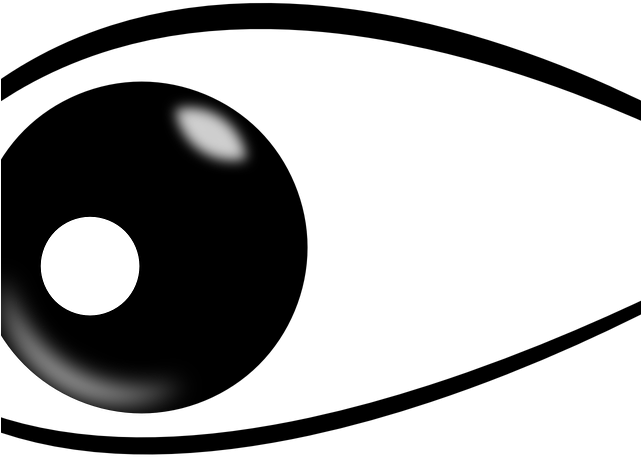 Eyeball Clipart Duck - Pupil - Png Download (640x480), Png Download