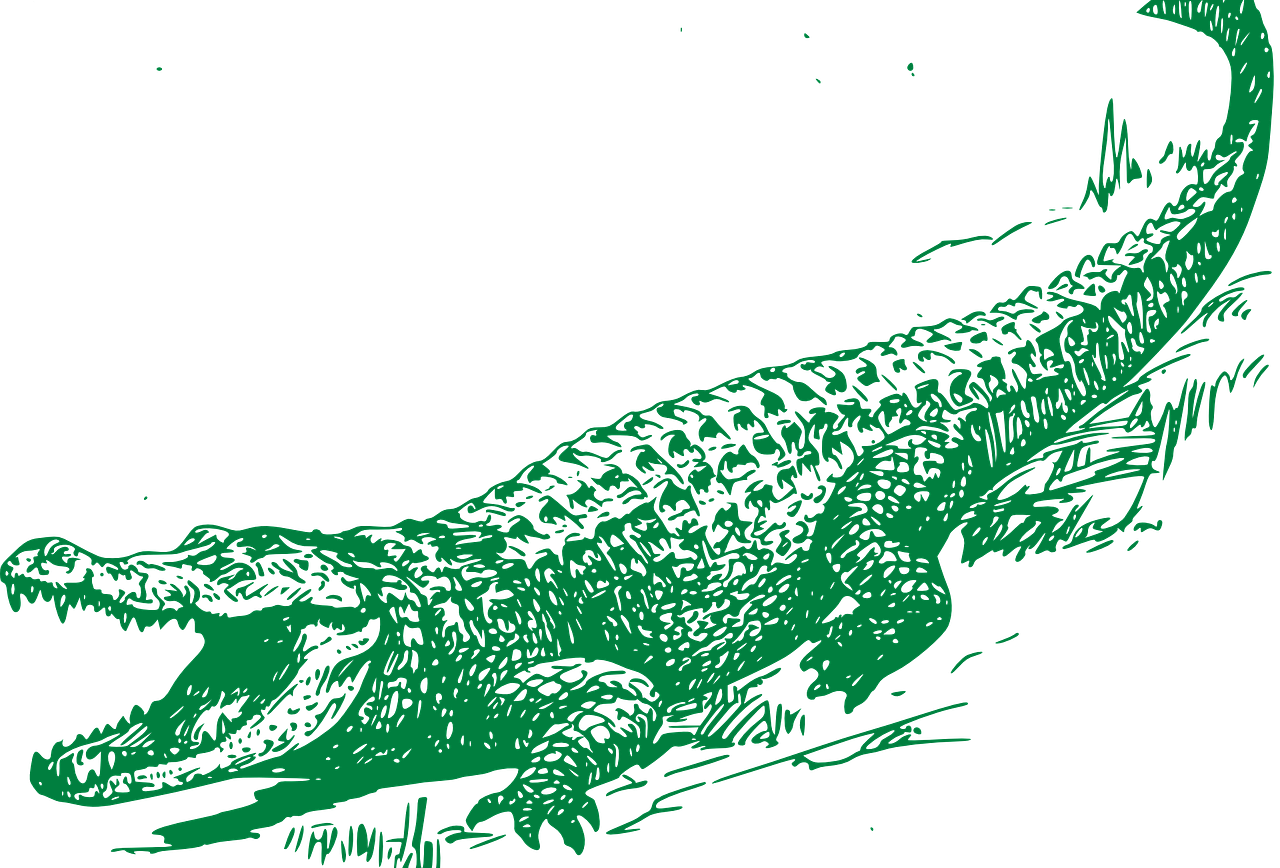 Clip Art With Transparent Background - Black And White Alligator - Png Download (1280x868), Png Download