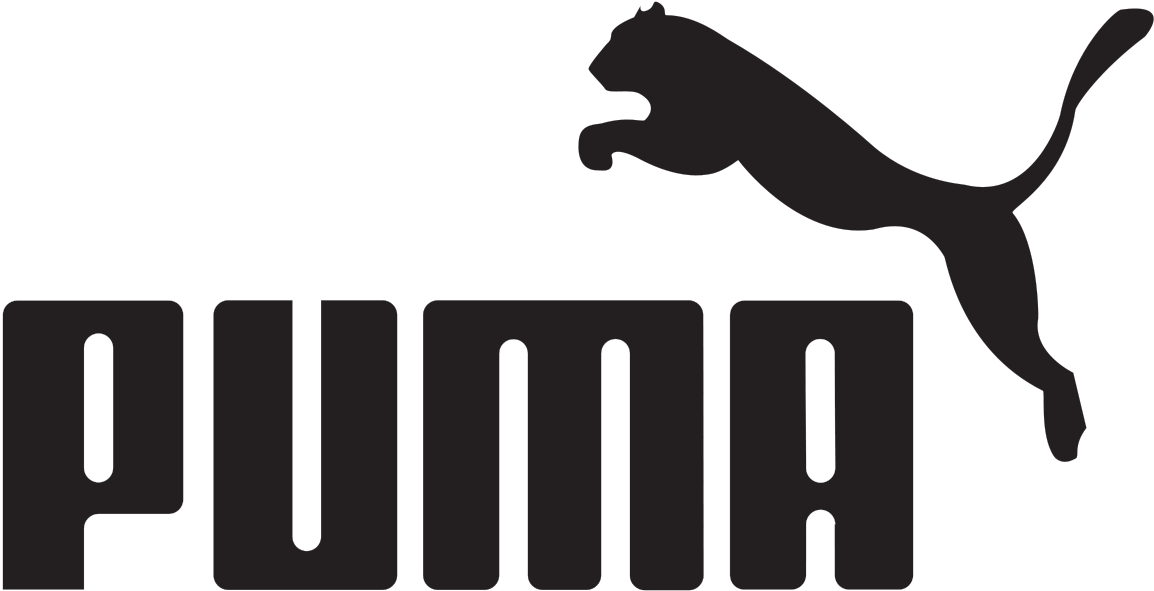Sur La Bonne Voie - Puma Logo Png Clipart (1200x638), Png Download