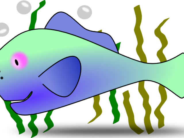 Marine Life Clipart Oceanography - Png Download (640x480), Png Download