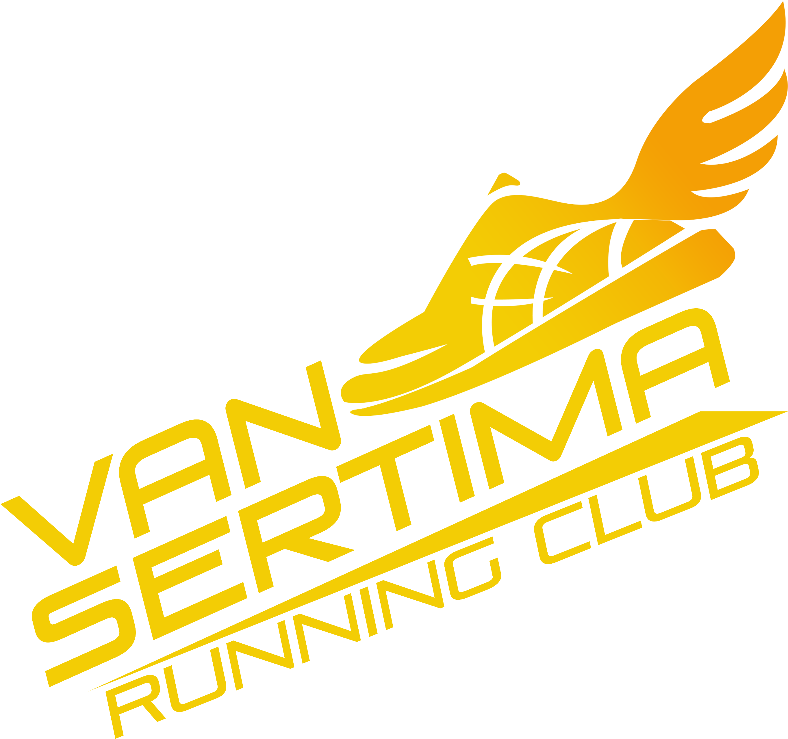 Van Sertima Elite 5k And Fun Run Clipart (2999x2999), Png Download