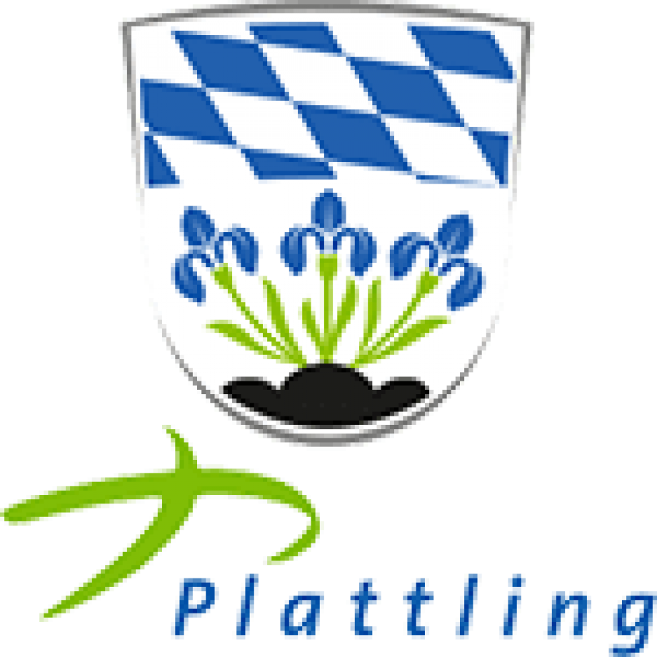 Sponsor Stadt Plattling - Stadt Plattling Wappen Clipart (920x920), Png Download