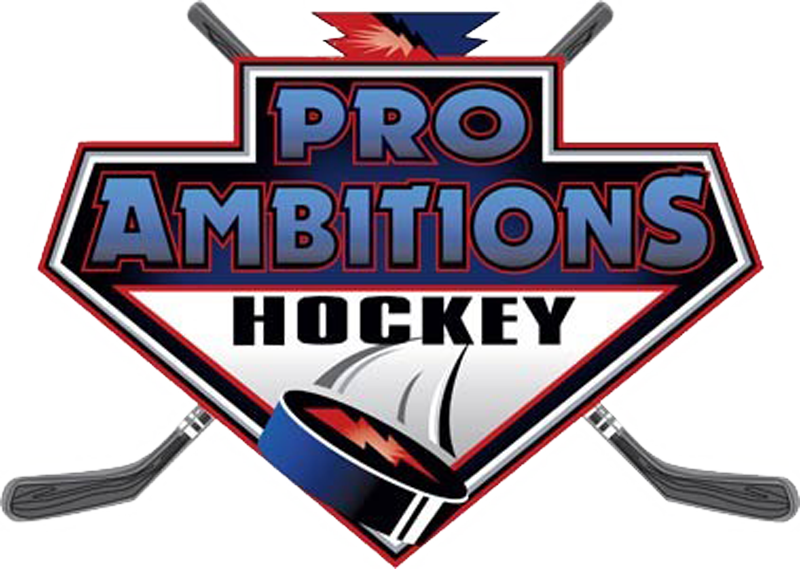 Pro Ambitions Clipart (800x569), Png Download