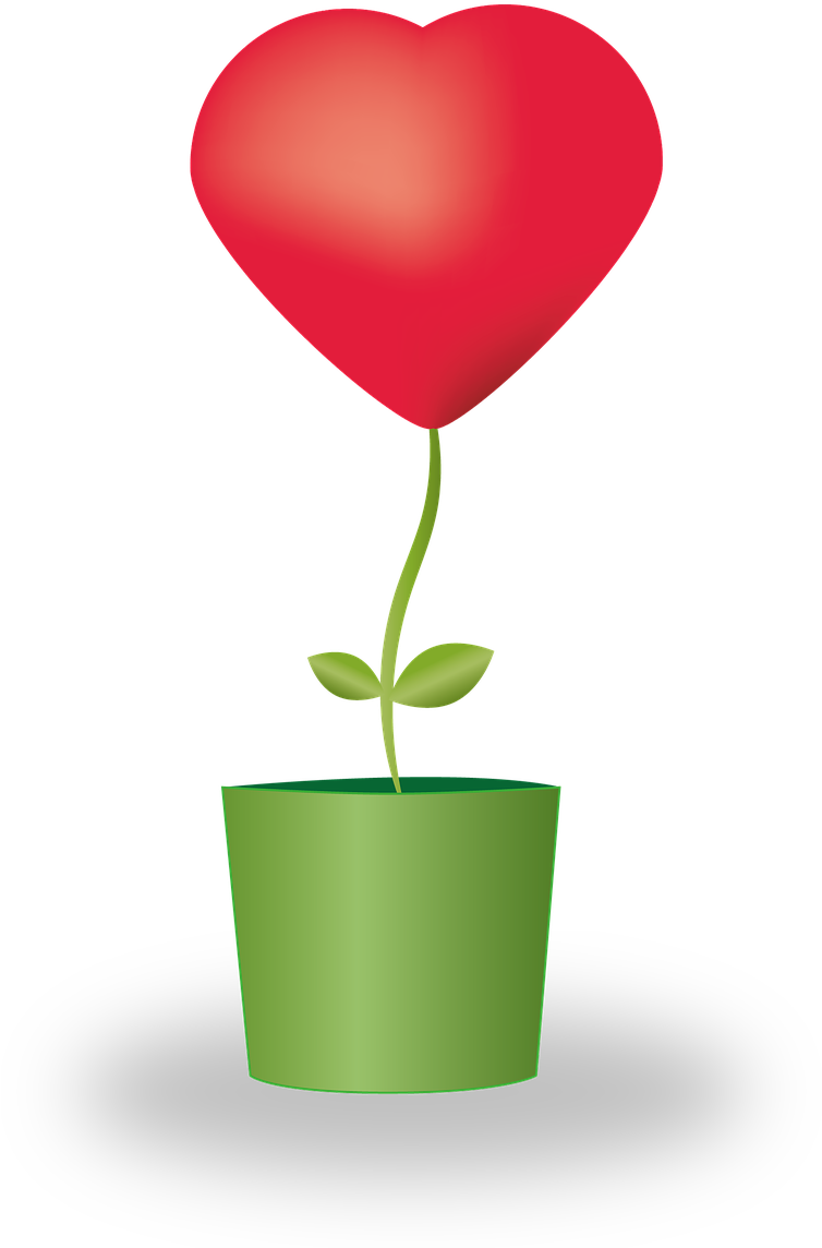 Heart,flower,potted Plants,love,mother's Day,heart - Dibujos Es De Corazon En Macetas Png Clipart (873x1280), Png Download