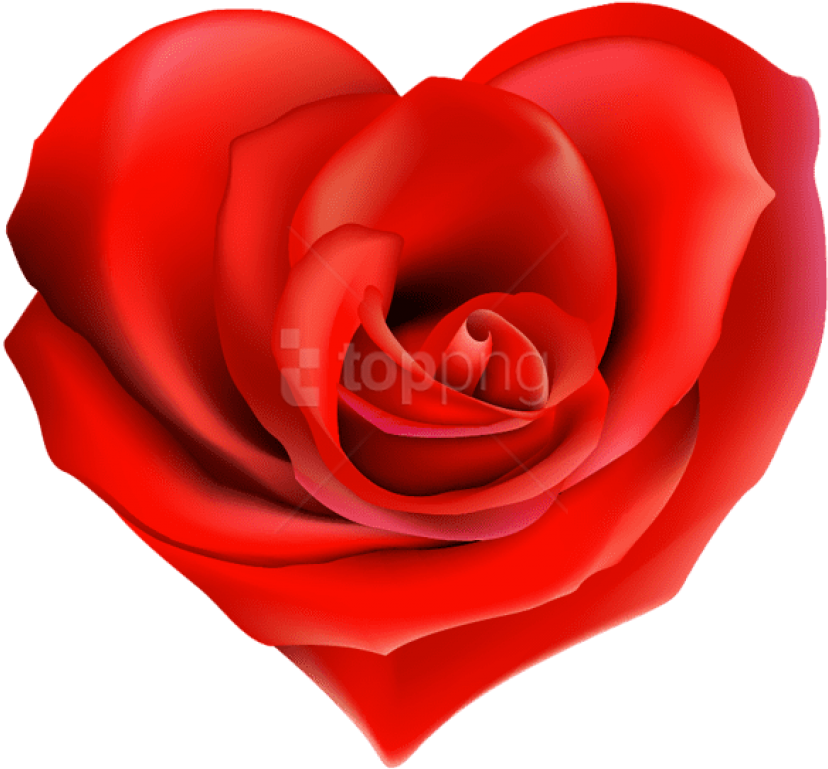 Heart Decorations, Heart Images, Heart Pictures, Hearts - Arreglos Florales Con Frases De Amor Clipart (600x561), Png Download