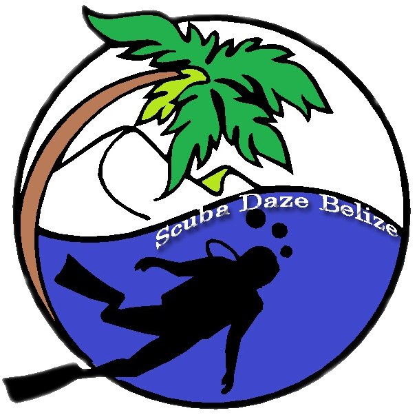 Scuba Diving Line Art Clipart (614x621), Png Download