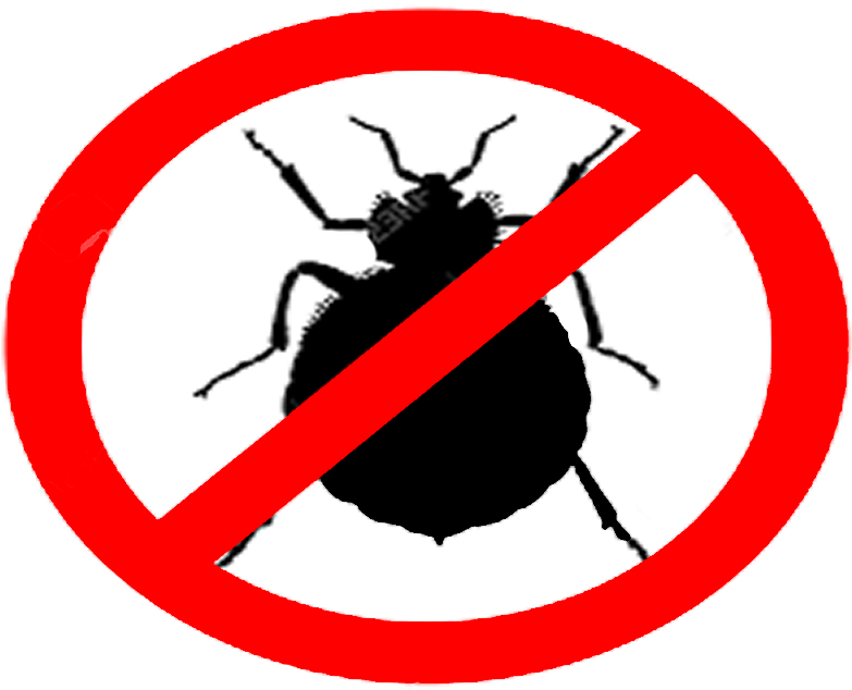Bed Bugs Clipart (800x800), Png Download