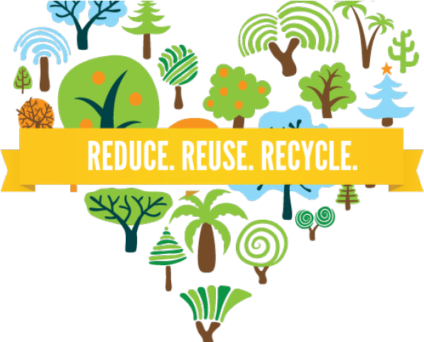 Tree 31a Shower Curtain Clipart (640x480), Png Download