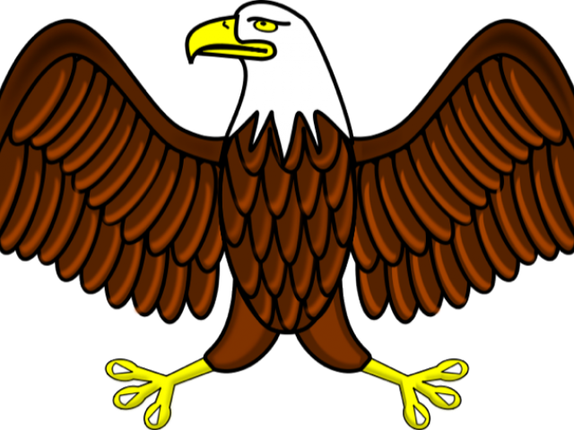 White Tailed Eagle Clipart Eagle Scout - Bald Eagle Clipart - Png Download (640x480), Png Download
