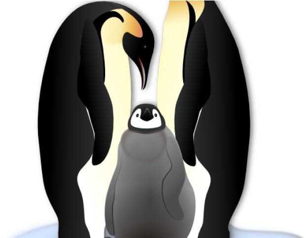 Cardinal Clipart Penquin - Emperor Penguin Clip Art - Png Download (640x480), Png Download