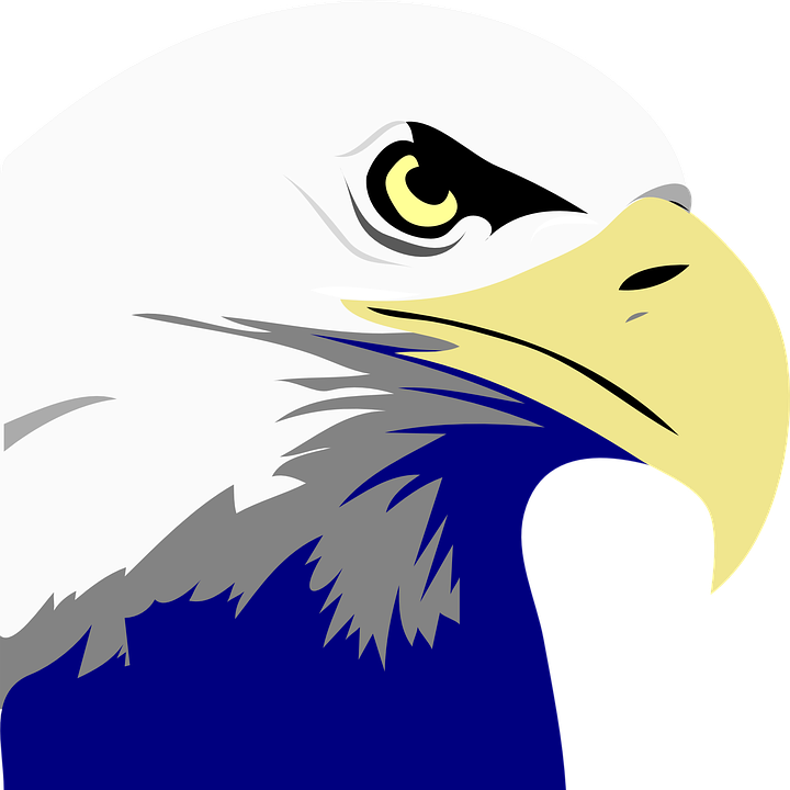 Bald Eagle Black And White Clipart - Png Download (600x600), Png Download