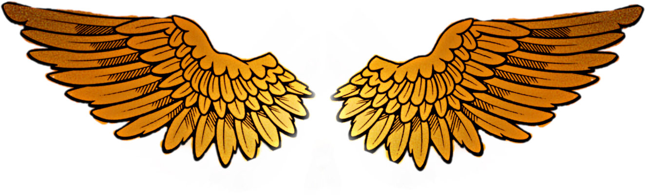 Color Clipart (1576x480), Png Download