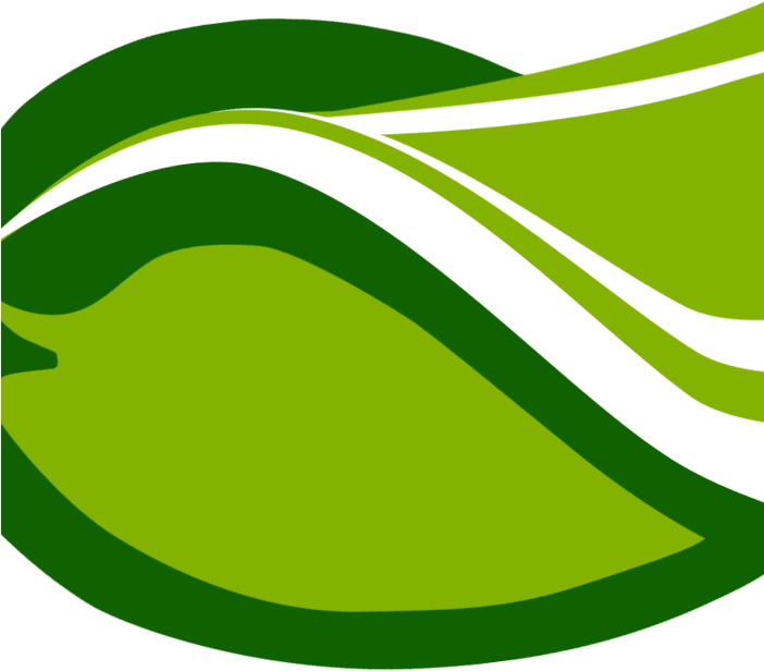 Green Mango Books - Book Clipart (701x701), Png Download