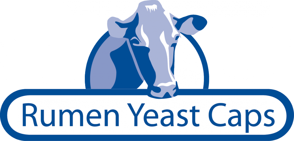 For Mature Dairy Cattle, A Source Of Naturally Occuring - Rumen Yeast Caps For Dairy & Beef Cattle By Tech Clipart (960x463), Png Download