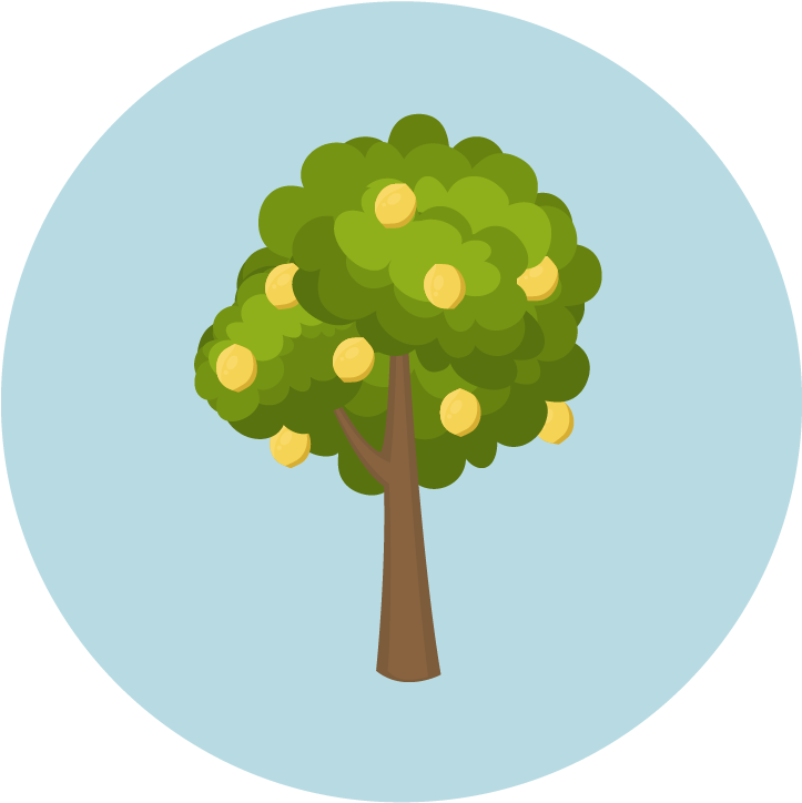 Fruit Trees - Tree Clipart (800x800), Png Download