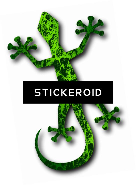 Geckos Insects - Set Of 6 Lizards 1 25 Magnets Funny Cute Reptile Lizard Clipart (546x743), Png Download