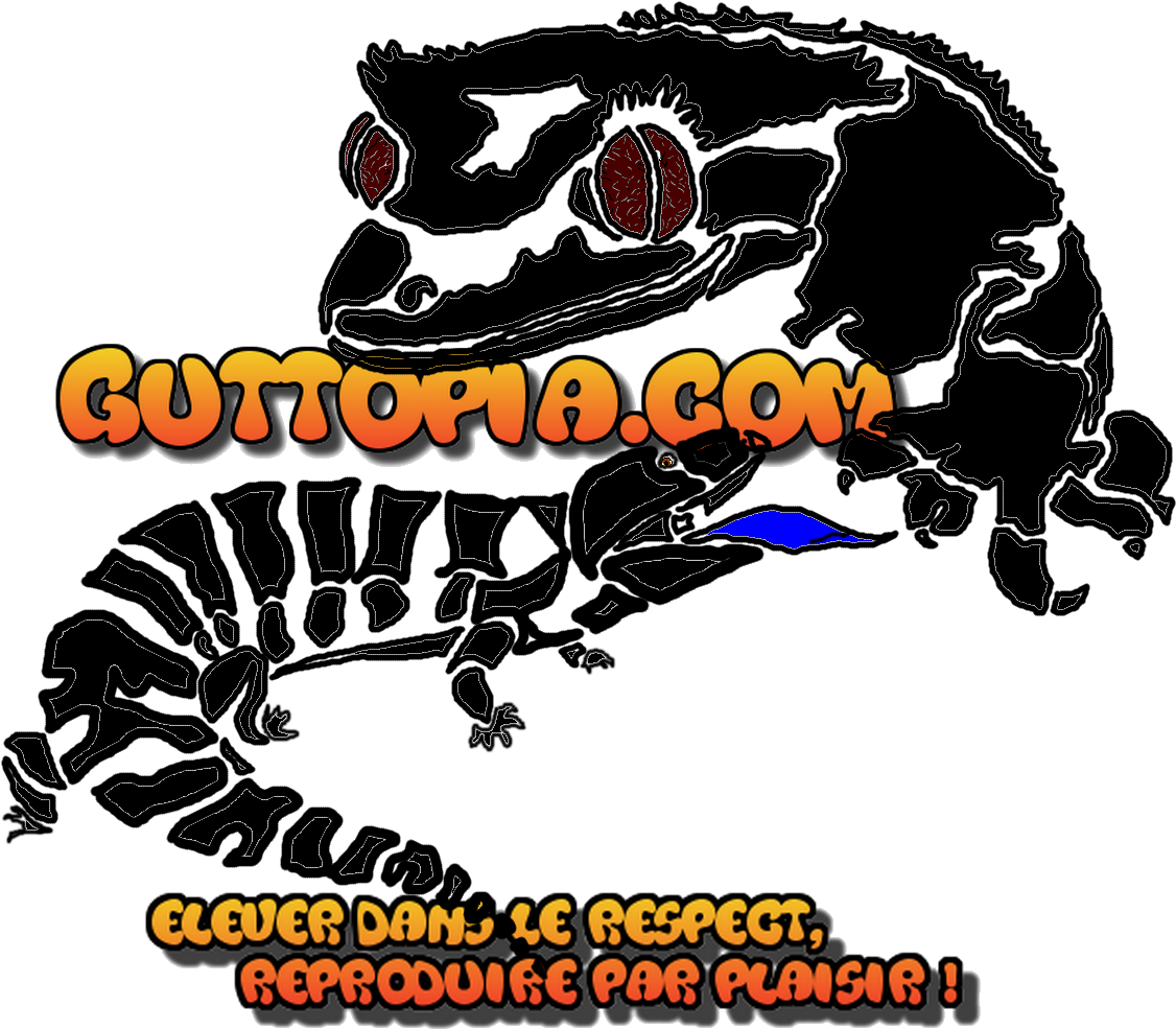 Illustration Clipart (1160x1051), Png Download