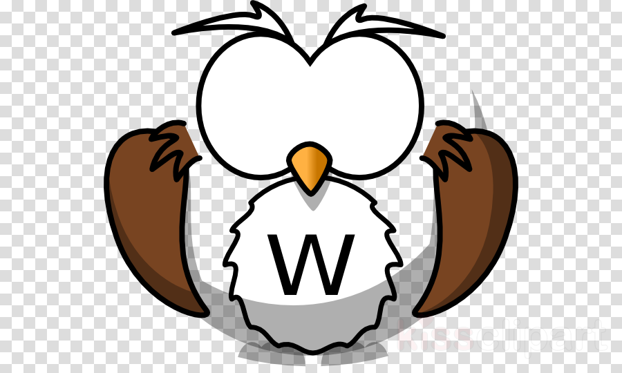 Cartoon Owl Clipart Owl Bird Coloring Book - Coloring Art 'tommy The Turtle' 8x10 Coloring Canvas - Png Download (900x540), Png Download