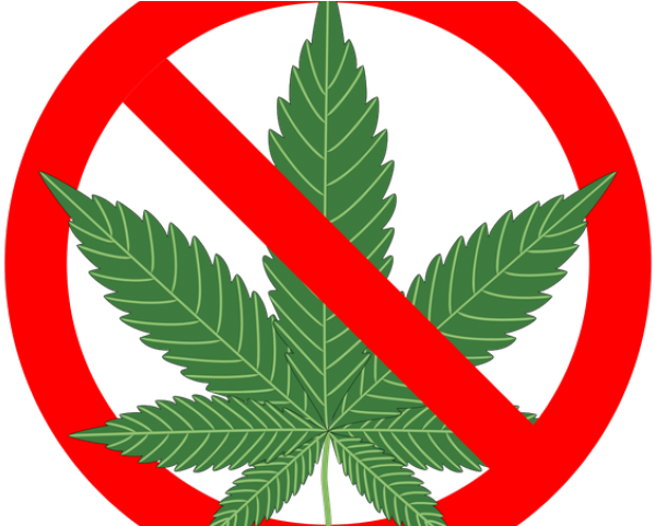 Weed Clipart Evil - Reasons Not To Smoke Marijuana: The Complete - Png Download (640x480), Png Download
