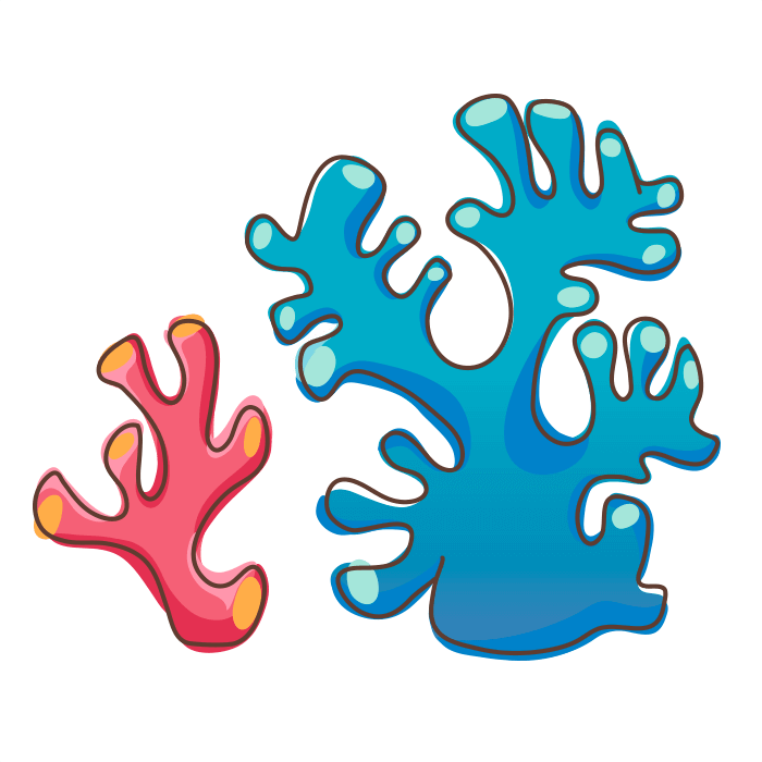 Corals - Corals For Kids Clipart (700x700), Png Download
