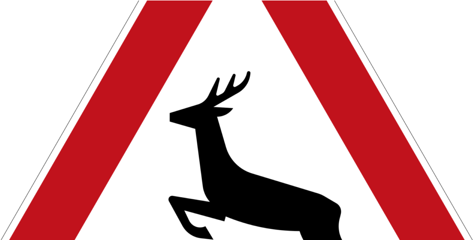 Wildunfälle Vor Allem Im Herbst Und Winter - Gebraucht: Antijagdtraining. Wie Man Hunde Vom Jagen Clipart (1200x480), Png Download