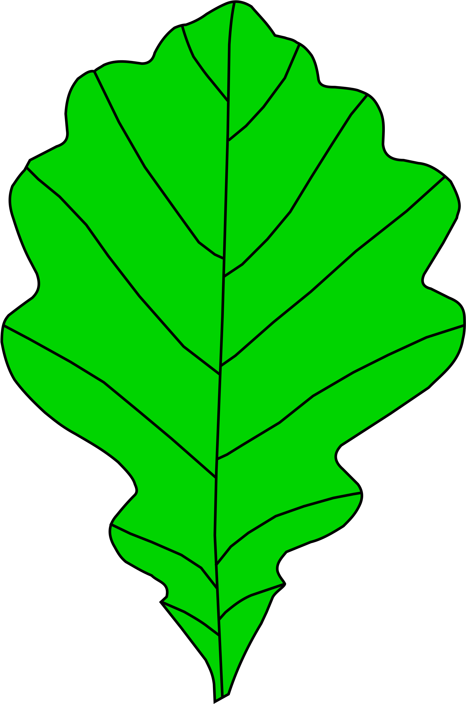 Oak Tree Graphic 29, Buy Clip Art - Png Download (2000x2957), Png Download