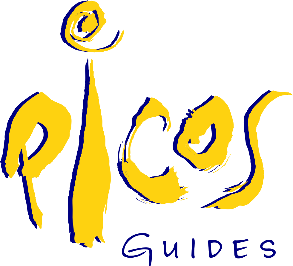 Bergfuehrer Fuer Freeride, Skitouren, Skidurchquerung, - Pieps Gmbh Clipart (1380x1104), Png Download