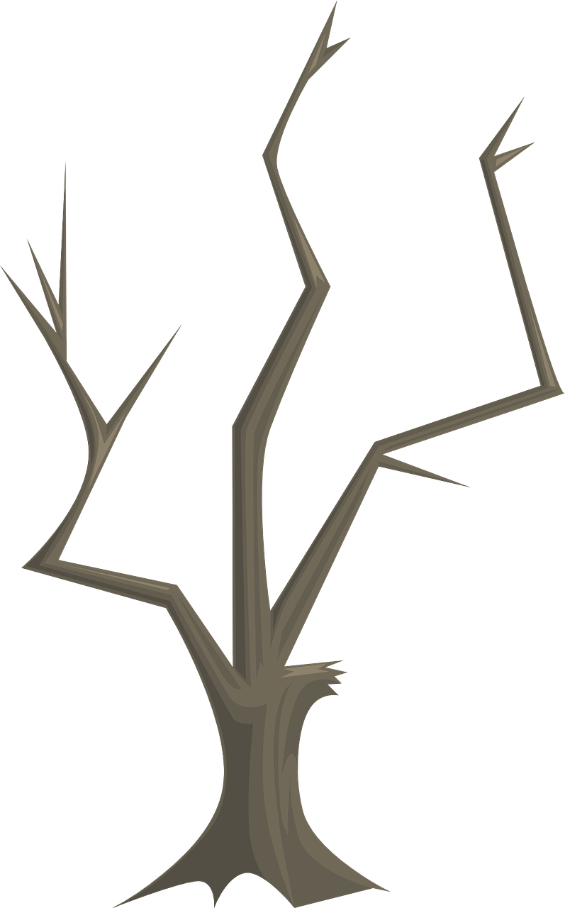 Tree Branches Nature Branch Png Image - ป่า ไม้ Png Clipart (797x1280), Png Download
