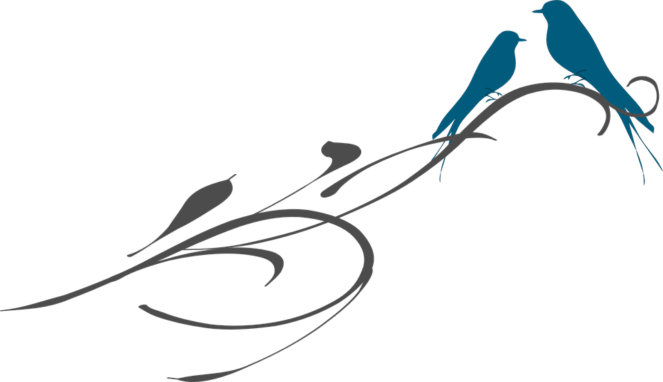 Love Birds Png Clipart (960x553), Png Download